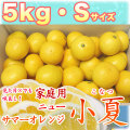 �ں����ơʹ��θ����˲����ѡ���Ȣ����5kg�ˡ�S������������̵����