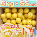 �ں����ơʹ��θ����˲����ѡ���Ȣ����5kg�ˡ�SS������