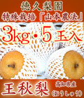 �������ʤ������夦�ʤ��˽��ʡ��������ࡦ3kg��5�����ڻ���ľ����