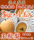 �������ʤ������夦�ʤ����������ࡦ3kg��4�����ڻ���ľ����