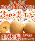 �������ʤ������夦�ʤ����������ࡦ3kg��6�����ڻ���ľ����