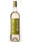 �������졡�ý����塼�롦�꡼2008