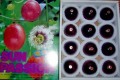 �������ݤΥѥå����ե롼�ġ�£����12�������ͽ�������/���Ϥ�6����ܤ�ͽ��(������ѤϾ��ʽвټ�³����λ��ˤʤ�ޤ��ˡˡ�