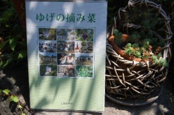 ゆげの摘み菜（書籍）