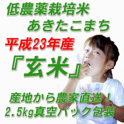 23ǯ������������