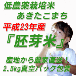 23ǯ��������������