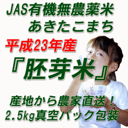 23ǯ��JASͭ��������