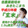 23ǯ������������