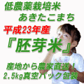 23ǯ��������������