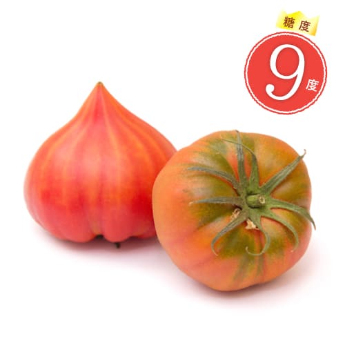 特選ファーストトマト