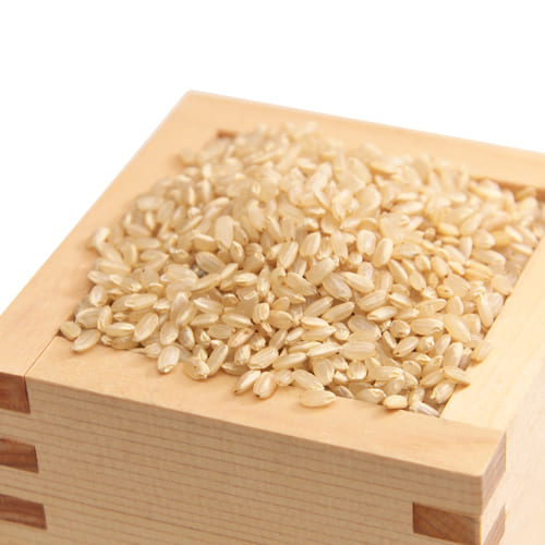 紅葉倶楽部のヒノヒカリ