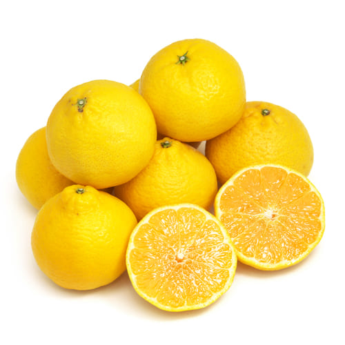 媛小春1kg 石丸さん