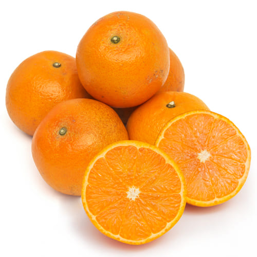 たんかん 大きめ 1kg 2025