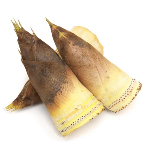 たけのこ 生 塩島さん 2kg 260406