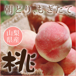 訳あり大特価！山梨県御坂町産完熟もも＜4kg＞