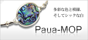 Paua-Mop ¿�̤ʿ������͡������ƥ��å�����