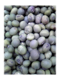 �ĤФ�Ʀ (����Ʀ)��500g