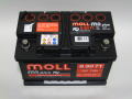 MOLL��83071