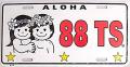88tees ����/�ʥ�С��ץ졼��ALOHA