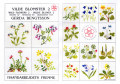 ��Fremme�͡��ްƽ���Wild Flowers-2�������������Բġ�