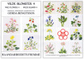 ��Fremme�͡��ްƽ���Wild Flowers-4�������������Բġ�