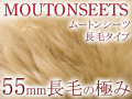 ���ޥ󥹥ࡼ�ȥ�55mm