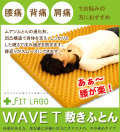 �����դȤ������̲�Ҥ��Х��ꥸ�ʥ롡WAVE-T
