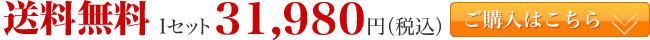����̵��1���å�31,980�ߡ��ǹ���