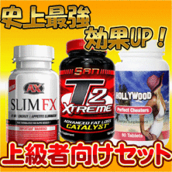 ���Ը����˾�Ƕ��������åȥ��åȡ�T2���������FX��������������