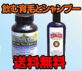 ������ߥ󥻥åȰ��ӥ��ץ���ӥ����ס�