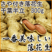 [���ʲ���]�����դ����������ȾΩ
