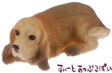 画像の説明文