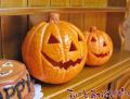 �ϥ������󡡥���å���󥿥��祵����