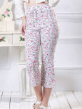 �ե��ץ��� �롼��ѥ�� �ز����롼�०�������꡼���١�sp1123��