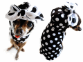 ��Pink Polka Dog���ԥ󥯥ݥ륫�ɥå���Dottie Pixie Hoodie