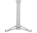 �ӥ�����AXD-P85�ԥ顼��