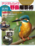 �ǥ����륫�����Ļ���ƽ�