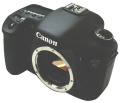 EOS7D�����ܥǥ�