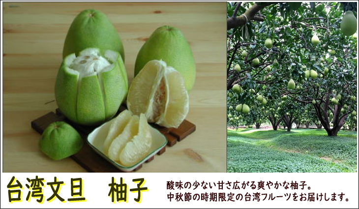 台湾文旦