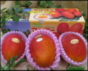 完熟！台湾アップルマンゴー１ｋｇ