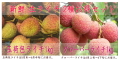 玉荷包ライチ1kgとクローバーライチ1kgのお得な2種類セット