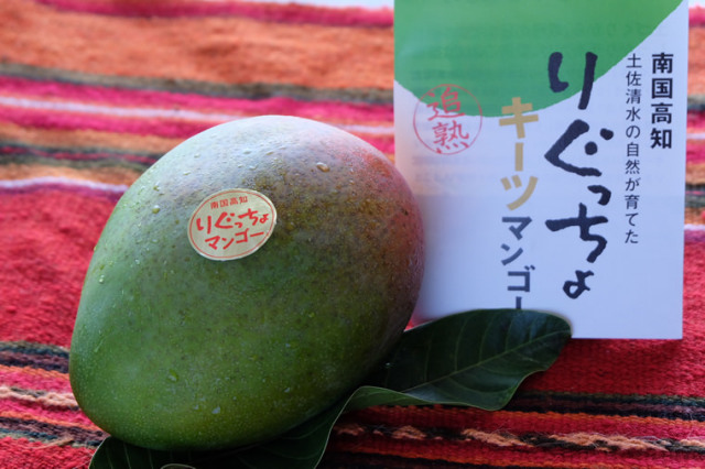 りぐっちょキーツマンゴー(約1.0kg×1玉入り) キーツマンゴー