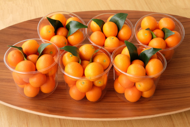 高知産きんかん【中粒】約1.5kg(約250g×6パック入り) フルーツきんかん