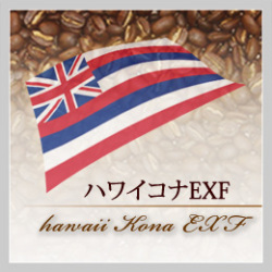 �ϥ磻����EXF