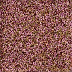 �ҡ����ʥ��ꥫ�� 500g