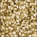 ���㥹�ߥ�ʥޥĥꥫ�� 500g