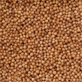 ���ꥢ������ʥ�����ɥ��� 500g