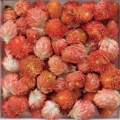 �ȹ��߲֡ʥ��������ᥤ���� 250g