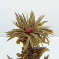 ��轲��� �����������ʥ��㥹�ߥ���� ����˥���������ȥ��� 250g