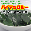 �Х��ޥ��롼�ʤ��֤ߤ�����ա� ������